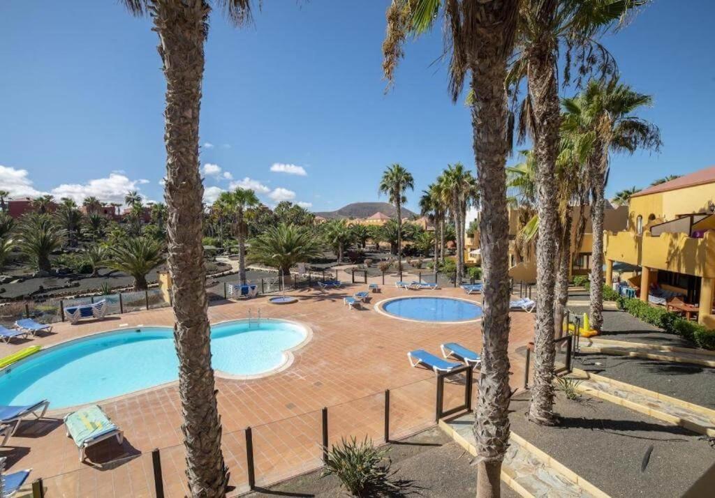Lightbooking Oasis Royal Corralejo F311 Exterior photo